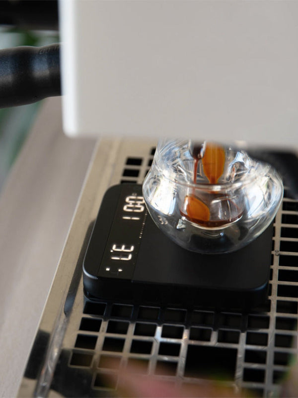 ACAIA Lunar Digital Scale - Timberline Coffee School