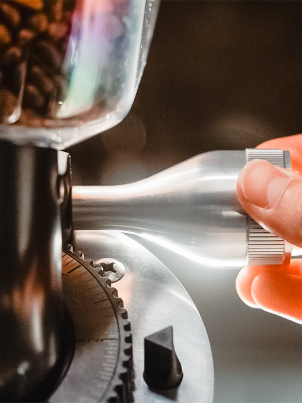 CEADO E37Z - Barista On - Demand Grinder (120V) (⌀83mm) - Timberline Coffee School