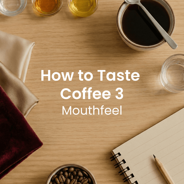 How to Taste Coffee 3: Mouthfeel - Timberline Coffee School
