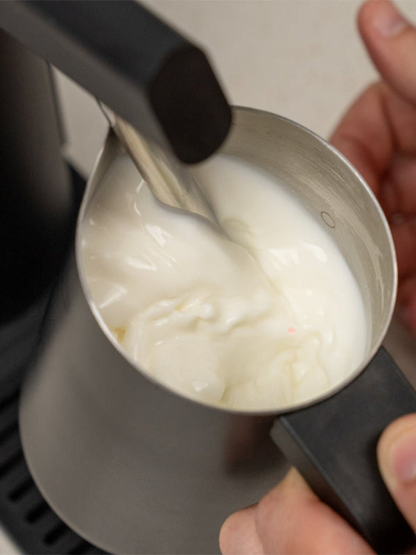 MORNING The Morning Dream (120V) - Timberline Coffee School