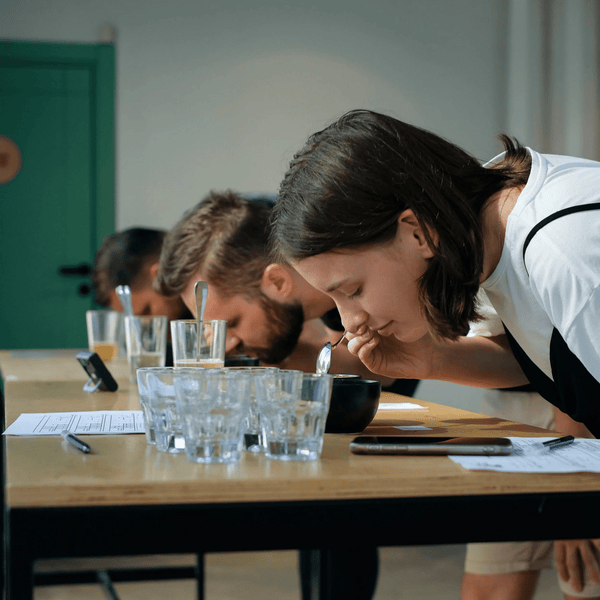 Noon Cupping Club - Timberline Coffee School