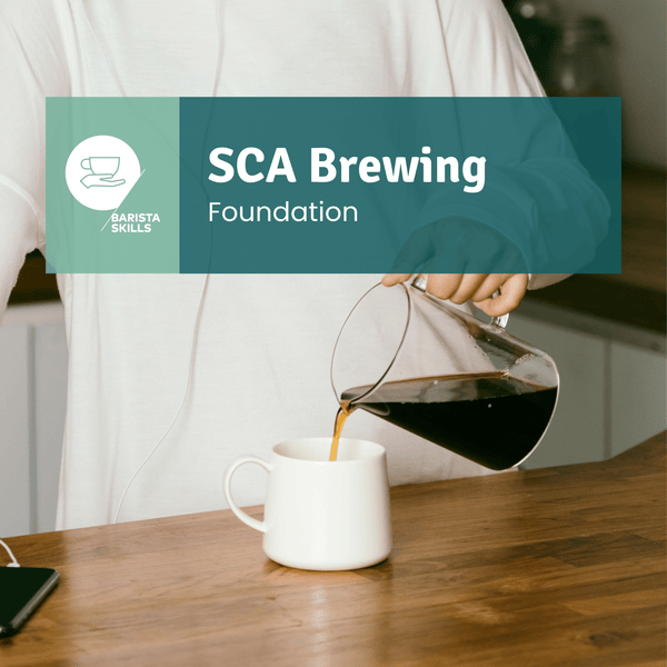 SCA Brewing Foundation - Timberline Coffee School