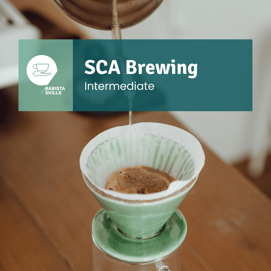 SCA Brewing Intermediate
