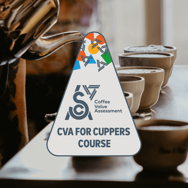 SCA CVA for Cuppers Course - Timberline Coffee School