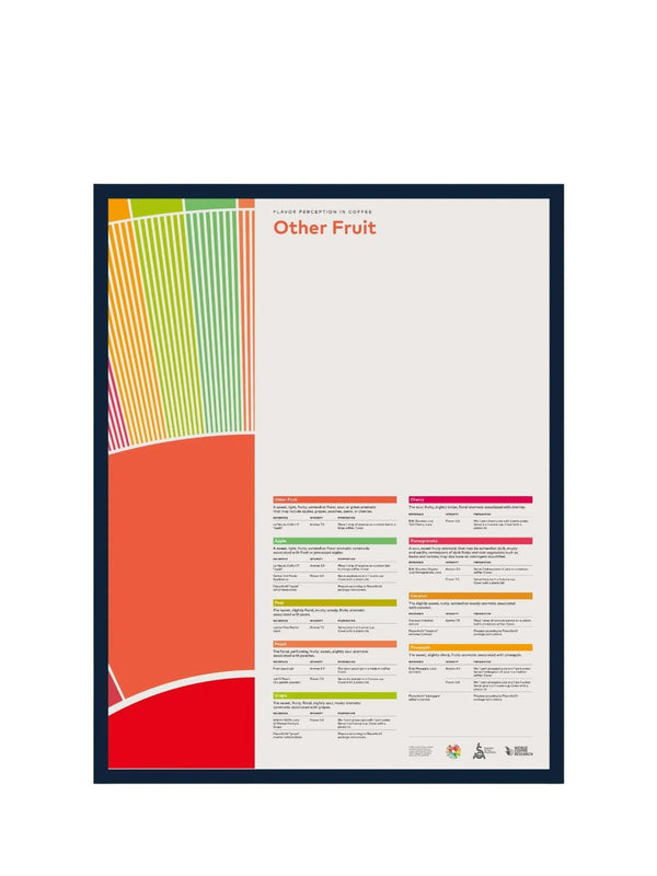 SCA Flavour Perception in Coffee Poster (Other Fruit) - Timberline Coffee School