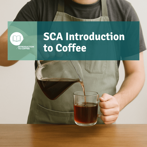 SCA Introduction to Coffee - Timberline Coffee School