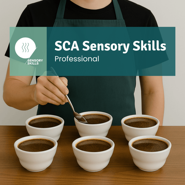 SCA Sensory Skills Professional - Timberline Coffee School