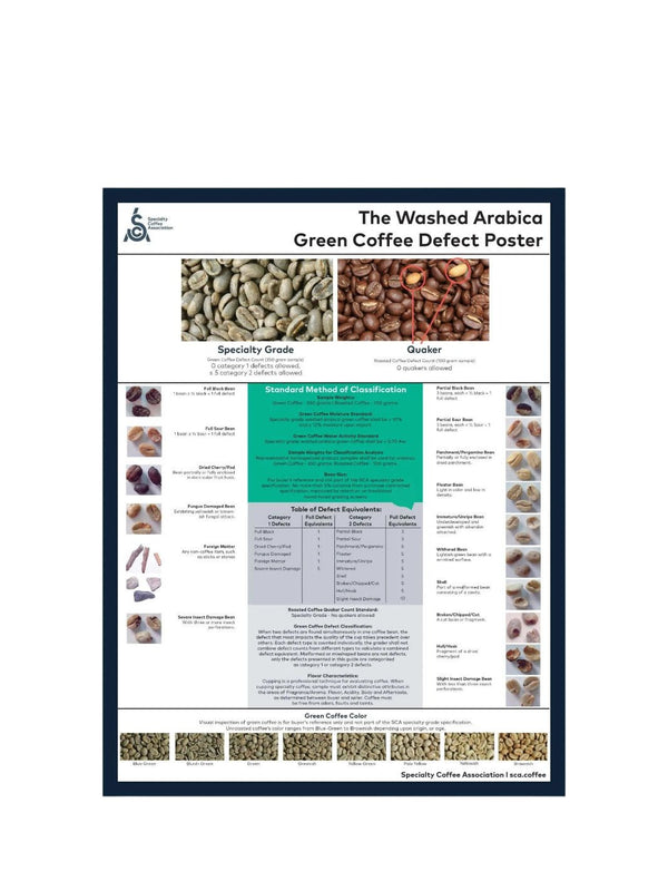 SCA Washed Arabica Green Coffee Defect Poster - Timberline Coffee School