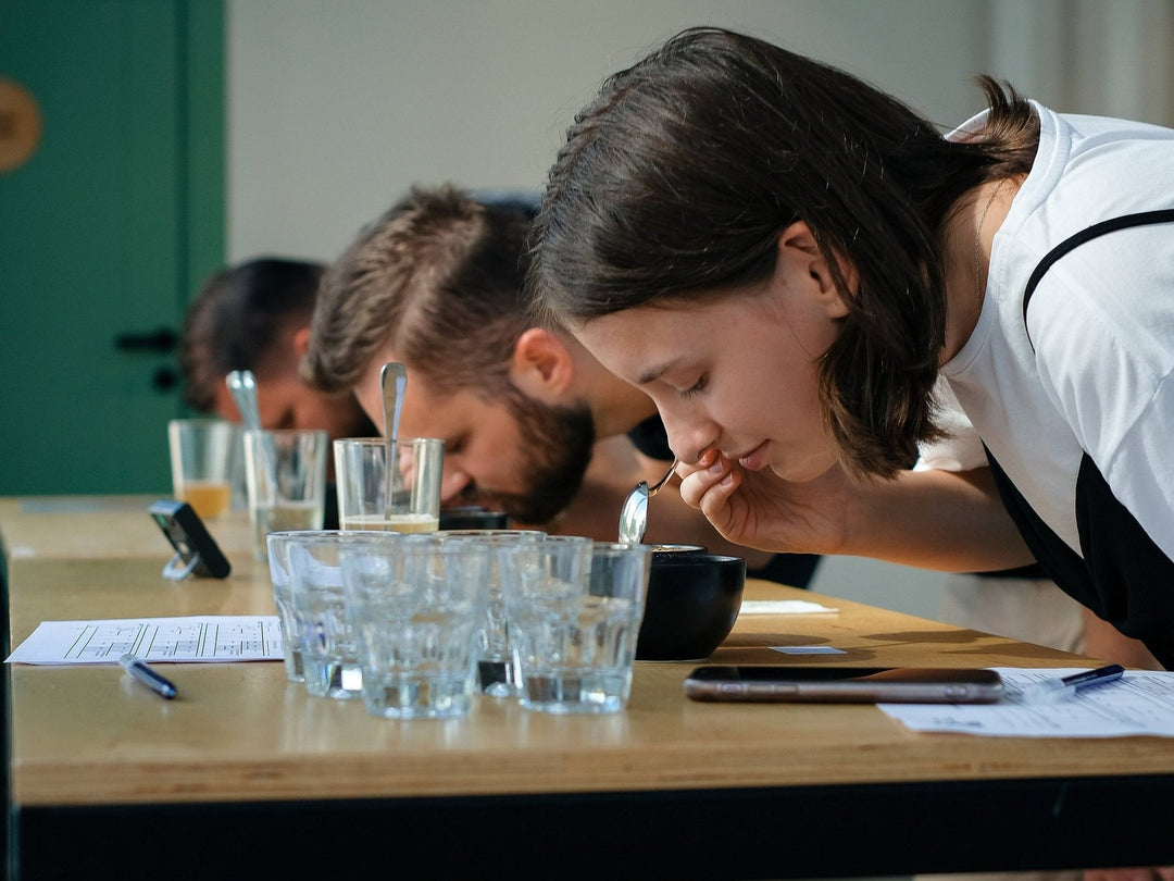 Courses - Timberline Coffee School