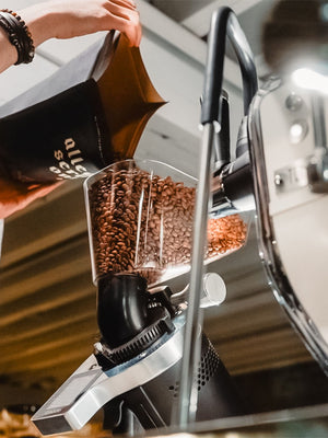 CEADO E37Z - Barista On - Demand Grinder (120V) (⌀83mm) - Timberline Coffee School