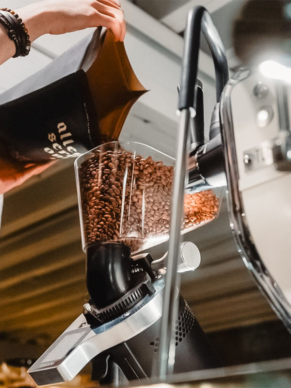 CEADO E37Z - Barista On - Demand Grinder (120V) (⌀83mm) - Timberline Coffee School