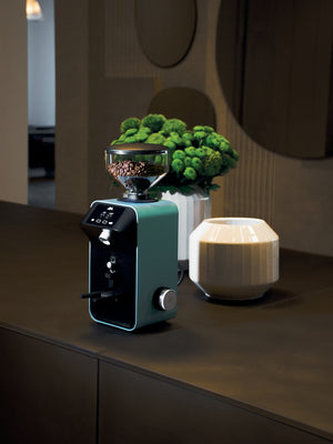 CEADO Life X All - Purpose Coffee Grinder (120V) - Timberline Coffee School