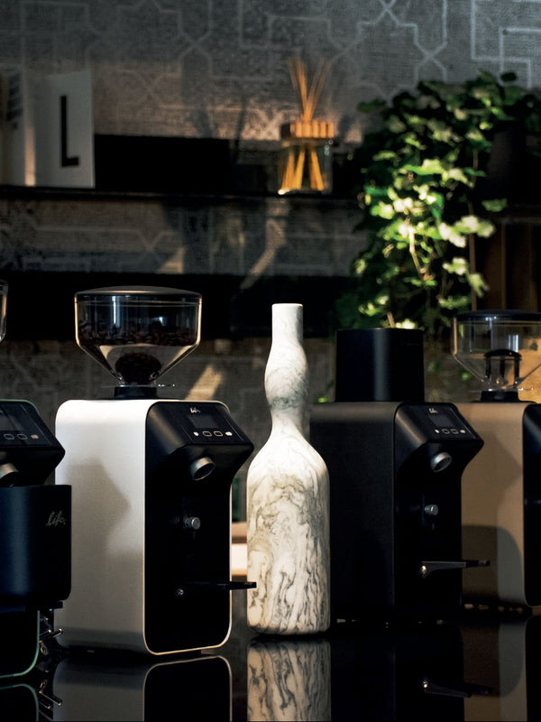 CEADO Life X All - Purpose Coffee Grinder (120V) - Timberline Coffee School