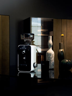 CEADO Life X All - Purpose Coffee Grinder (120V) - Timberline Coffee School