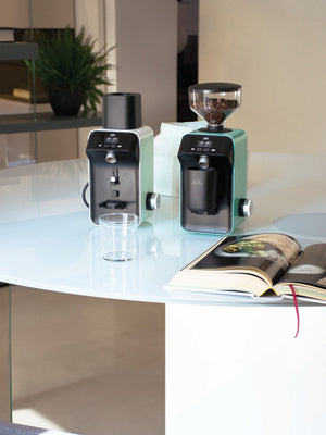 CEADO Life X All - Purpose Coffee Grinder (120V) - Timberline Coffee School