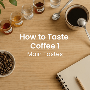 How to Taste Coffee 1: Main Tastes - Timberline Coffee School
