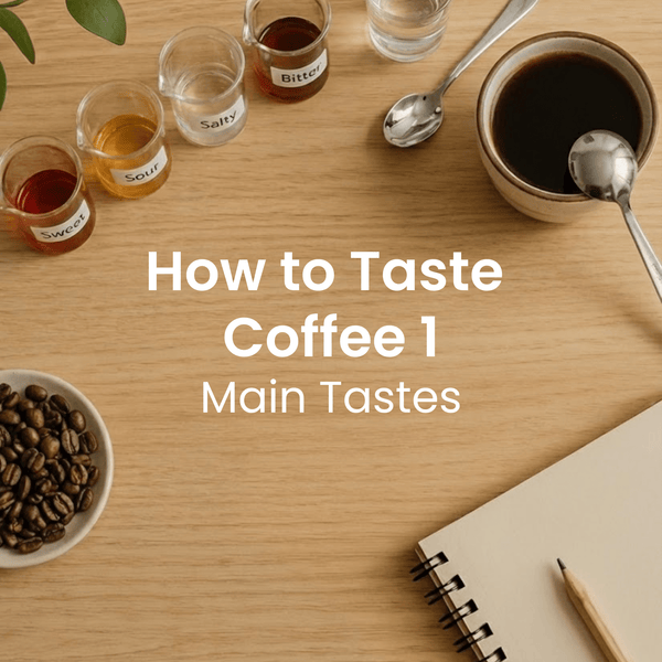 How to Taste Coffee 1: Main Tastes - Timberline Coffee School