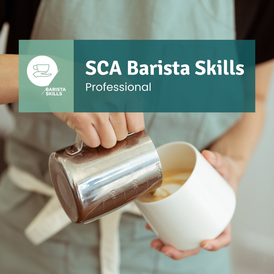 SCA Barista Skills Professional