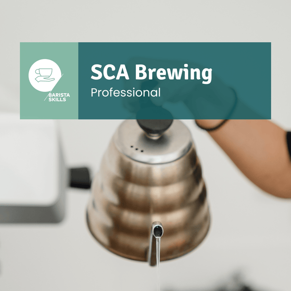 SCA Brewing Professional - Timberline Coffee School