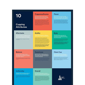 SCA Cupping Attributes Poster - Timberline Coffee School