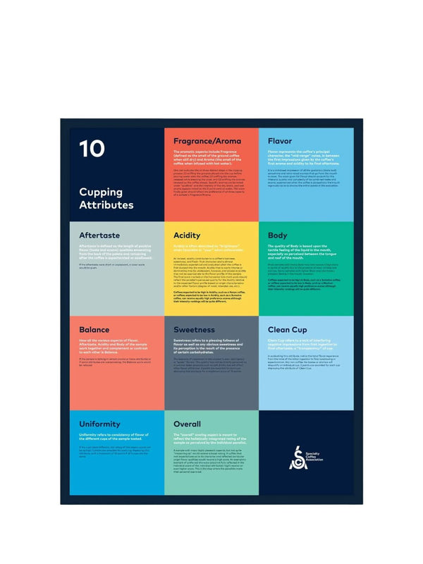 SCA Cupping Attributes Poster - Timberline Coffee School