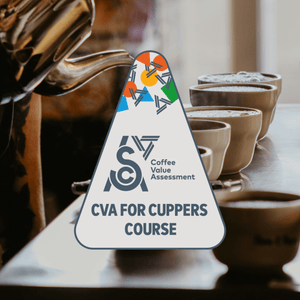 SCA CVA for Cuppers Course - Timberline Coffee School