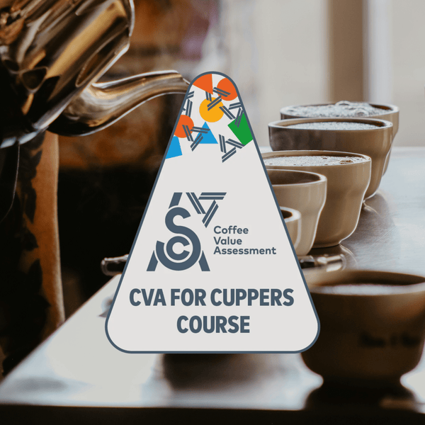 CVA for Cuppers Course
