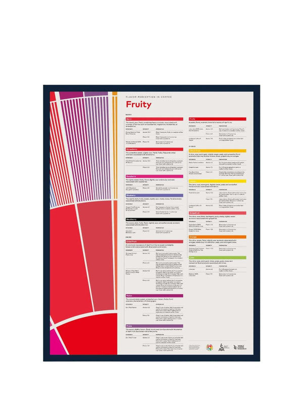 SCA Flavour Perception in Coffee Poster (Fruity) - Timberline Coffee School