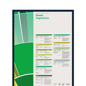 SCA Flavour Perception in Coffee Poster (Green/Vegetative) - Timberline Coffee School