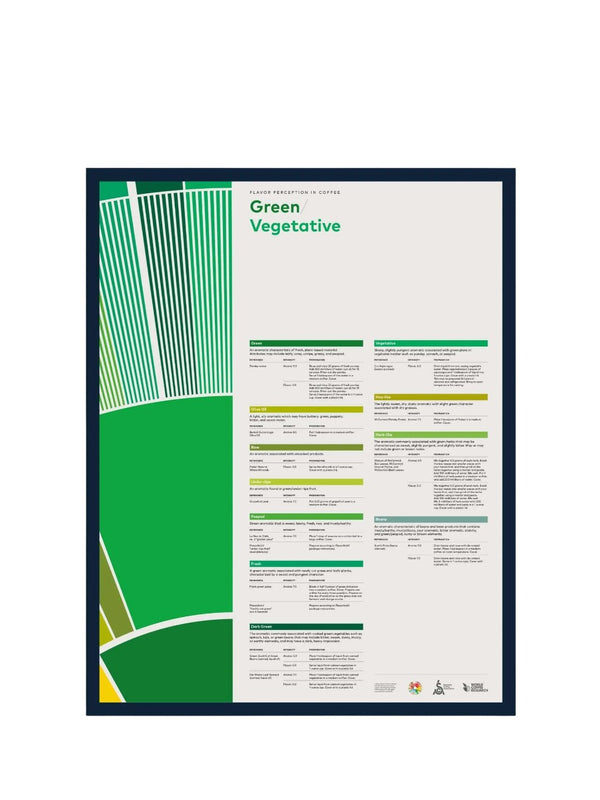 SCA Flavour Perception in Coffee Poster (Green/Vegetative) - Timberline Coffee School