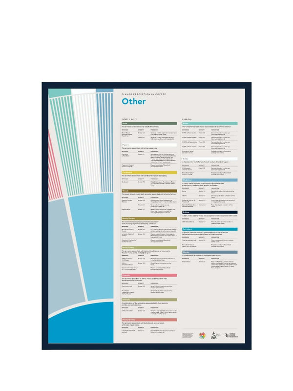 SCA Flavour Perception in Coffee Poster (Other) - Timberline Coffee School