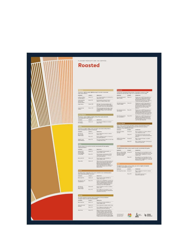 SCA Flavour Perception in Coffee Poster (Roasted) - Timberline Coffee School