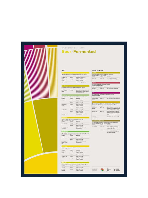 SCA Flavour Perception in Coffee Poster (Sour/Fermented) - Timberline Coffee School
