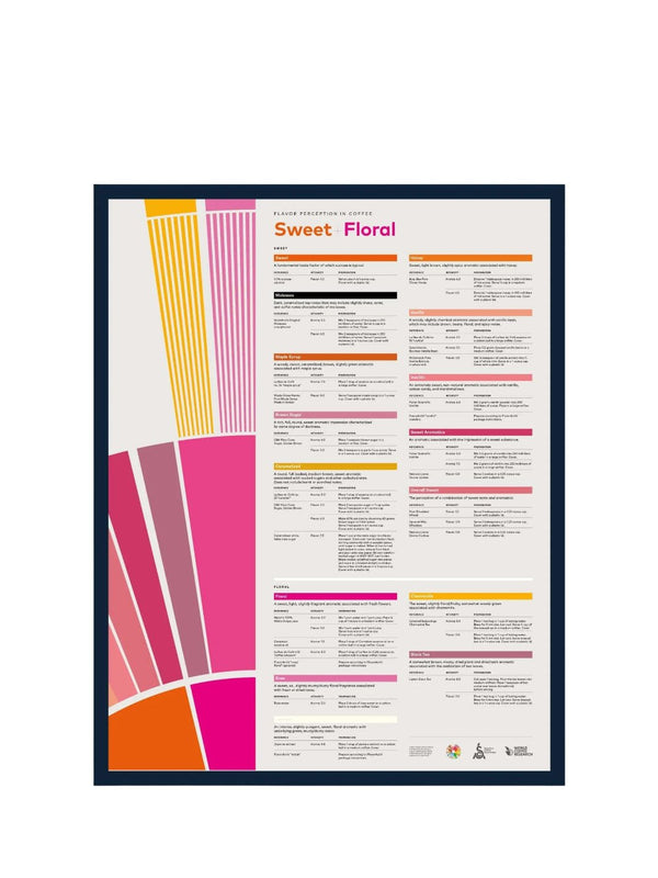 SCA Flavour Perception in Coffee Poster (Sweet/Floral) - Timberline Coffee School