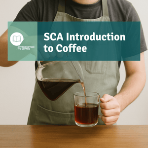 SCA Introduction to Coffee - Timberline Coffee School
