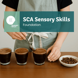 SCA Sensory Skills Foundation - Timberline Coffee School