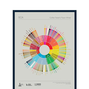 SCA The Coffee Taster's Flavour Wheel Poster - Timberline Coffee School