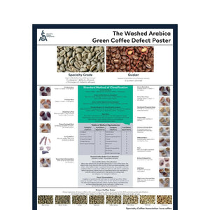SCA Washed Arabica Green Coffee Defect Poster - Timberline Coffee School
