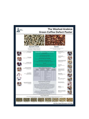 SCA Washed Arabica Green Coffee Defect Poster - Timberline Coffee School