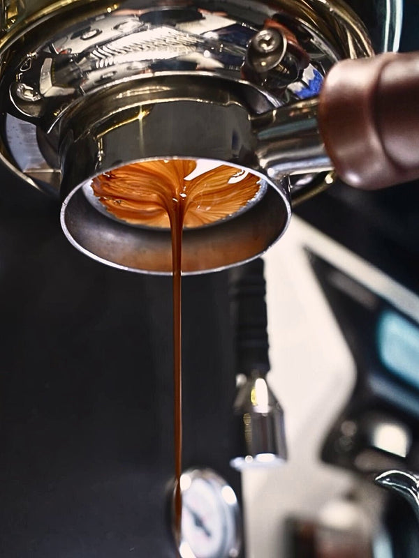 WENDOUGEE Data S Espresso Machine (120V) (Reservoir/Direct Plumb) - Timberline Coffee School