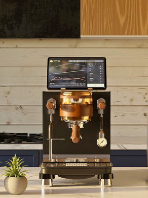 WENDOUGEE Data S Espresso Machine (120V) (Reservoir/Direct Plumb) - Timberline Coffee School